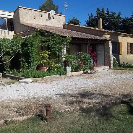Le Petit Frigouye *
