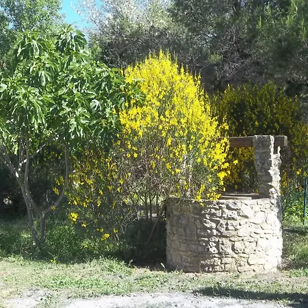 Le Petit Frigouye