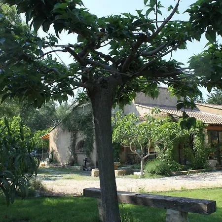 Le Petit Frigouye Rochefort-du-Gard