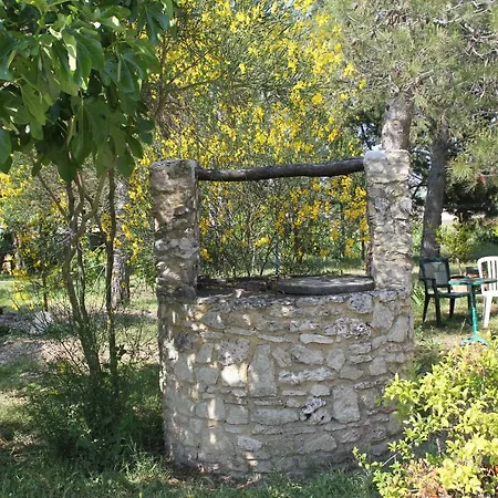Le Petit Frigouye